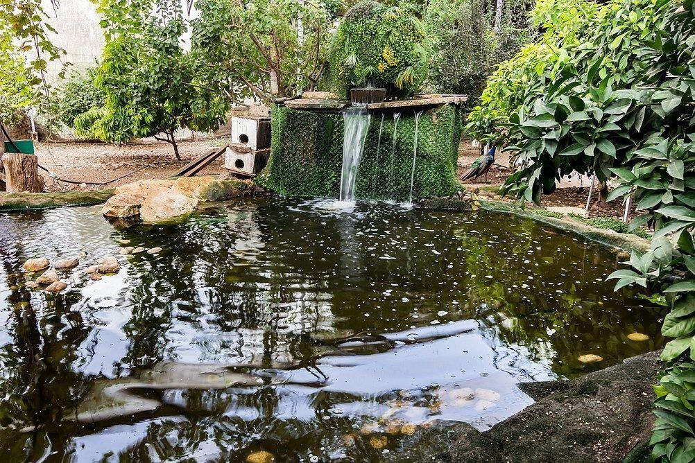 חצר ובריכה - ויליג' קומפלקס - 5 יחידות אירוח לפי שעה בניר בנים 121816